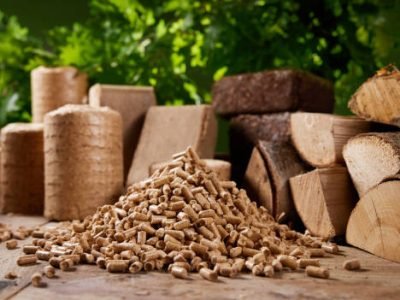 Pyramid of biofuel pellets stacked on wooden table near biomass briquettes and chopped firewood against lush green oak tree